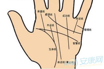 好男人的手相特征图文