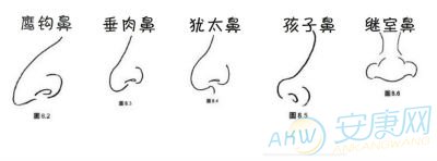 鼻子看相面相学鼻子图解图文
