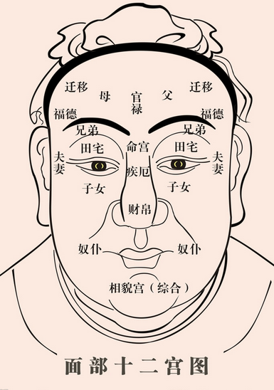 面相十二宫位痣的位置与命运_有痣_学搭配运势网