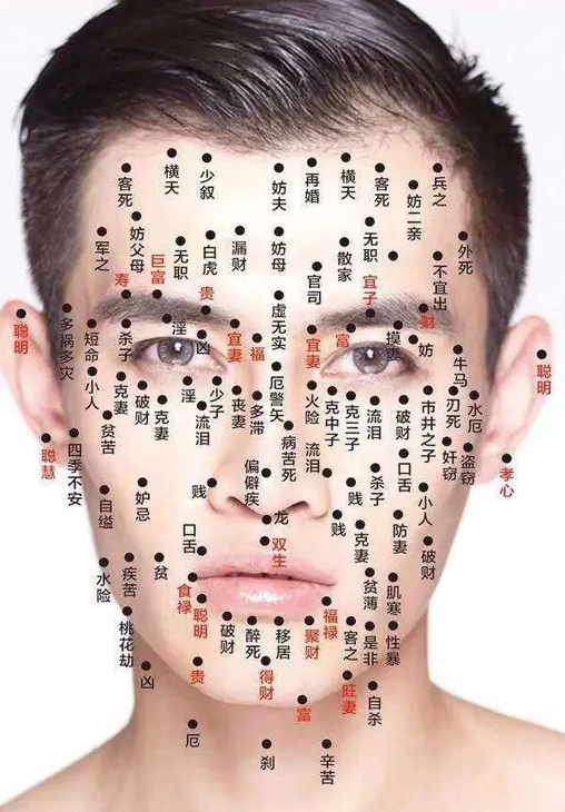 痣说人生脸上痣的位置与命运图解