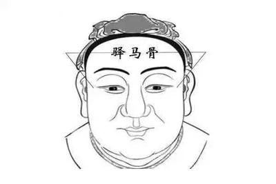 驿马骨是由颧骨延伸至耳前位一根骨,又叫玉堂骨.