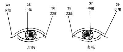 眼神眼形眼部面相图解