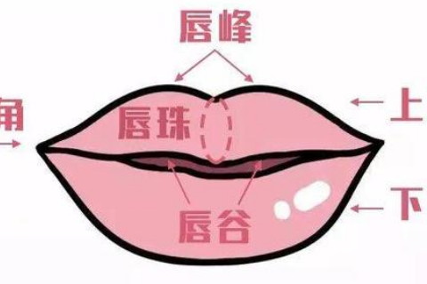 有唇珠的面相有福气吗