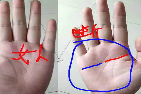 手相分析适合做老婆的女人