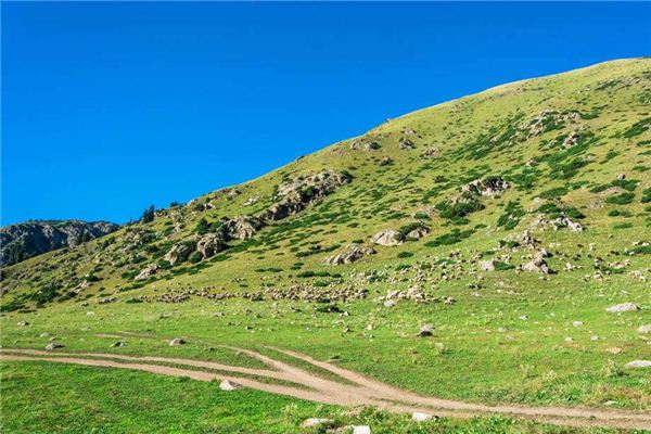 梦见山坡_做梦梦到山坡是什么意思