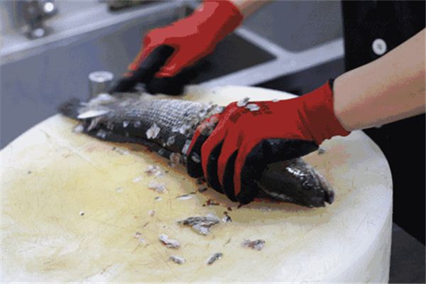 梦见杀鱼_做梦梦到杀鱼是什么意思