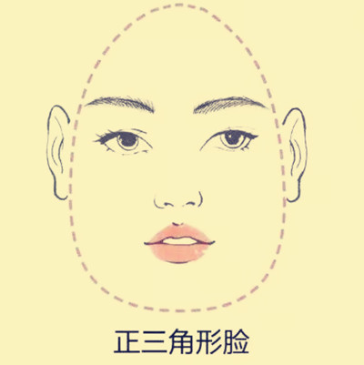 呈现上小下大的正三角形,在视觉上是最有稳定性的一种脸型