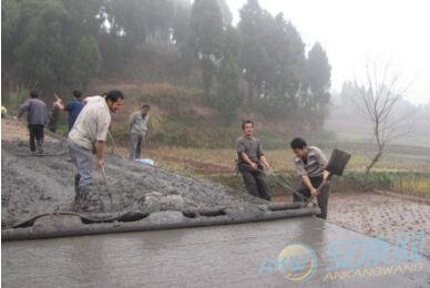 梦见铺路(图文)