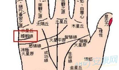 婚姻线出现分叉有什么含义(图文)