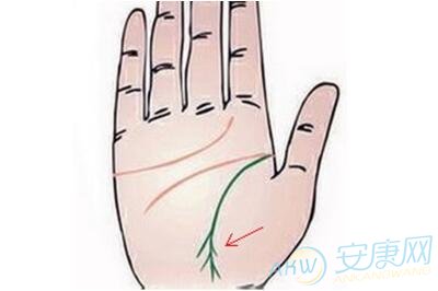 生命线分叉是什么意思?(图文)