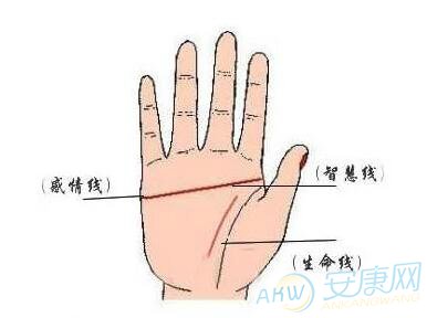 常见的值得托付终身的手相特征介绍(图文)
