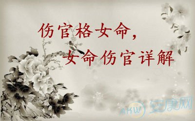 伤官格女命女命伤官详解图文