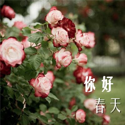 新潮有创意的凉面店名字大全(图文)