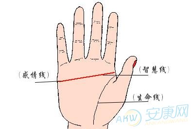 女生断掌应该如何破解?(图文)