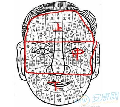 如何看面相算命图解(图文)
