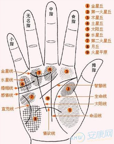易经看手相(图文)