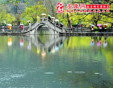 梦见春雨(图文)