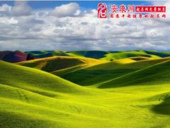 梦见与女同事偷情(图文)