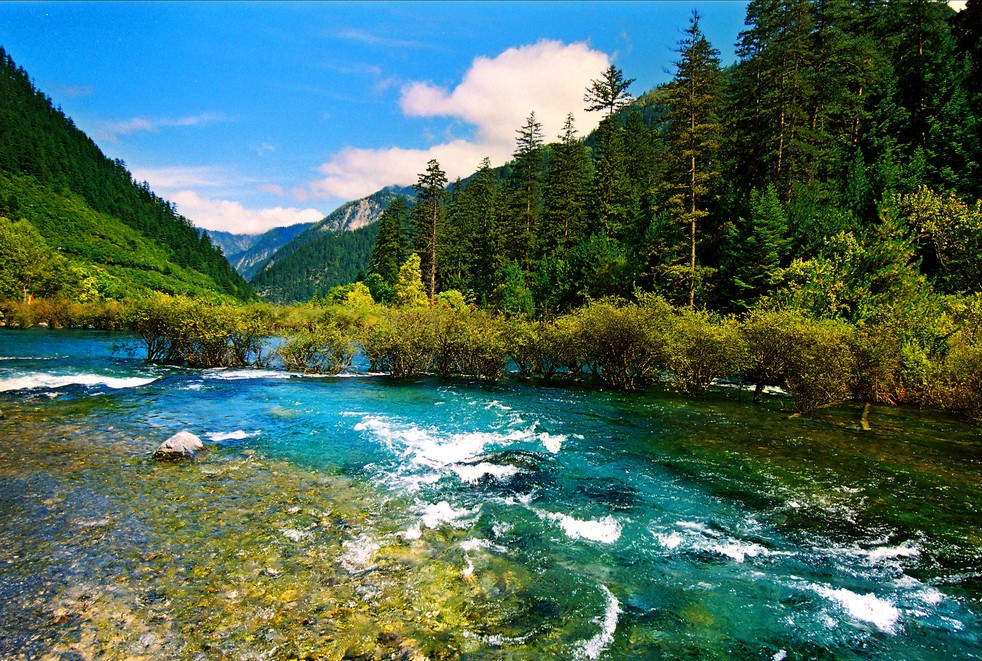 2019猪年出生的石姓男孩怎么样起名字姓石男孩好名推荐图文