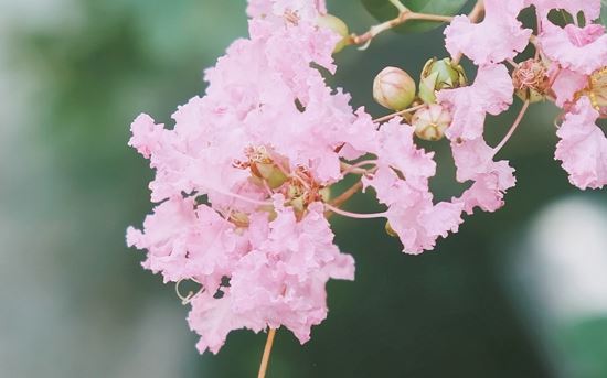 健康公司好听创意的名字(图文)