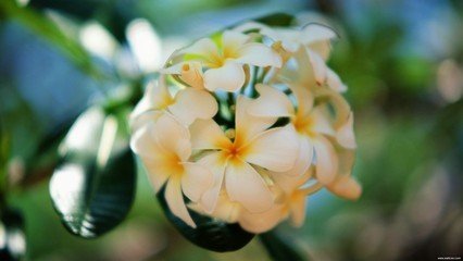 中元节出生的男孩格好吗 起什么名字合适(图文)