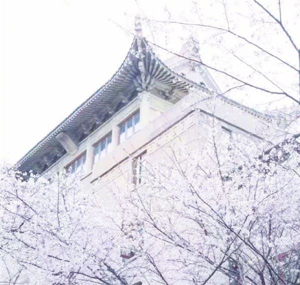 寓意好有财气的母婴店名字大全(图文)