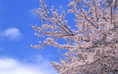国庆节出生的男孩起名带什么字好 用哪些字比较合适(图文)