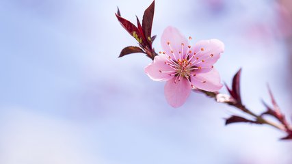 国庆节出生的男孩起名带什么字好 用哪些字比较合适(图文)