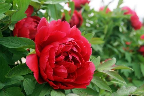 7月3号凌晨2点出生的男孩如何起一个合适的名字(图文)