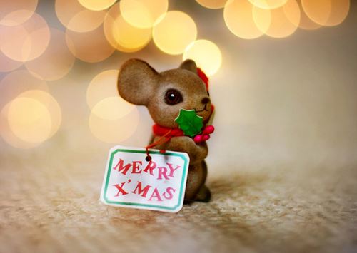 姓陈女孩名字属猪2019好听的(图文)