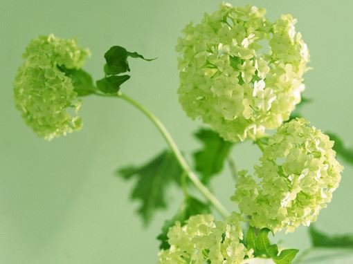 有创意洋气的润滑油店名字(图文)