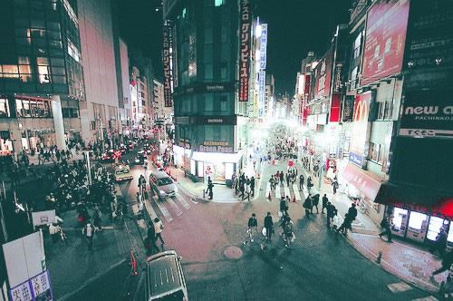 畜牧养殖公司好听有创意的名字大全(图文)