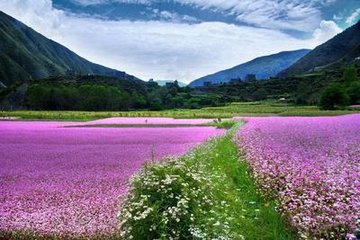 2019年国庆节出生男孩要怎么起小名(图文)