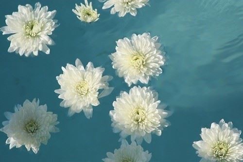 油墨店有寓意好听的名字大全(图文)