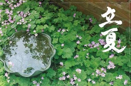 今年什么时候立夏2020年几点几分？2020年立夏是几点钟？
