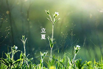 立夏前一个节气是什么？2020年立夏是什么时候？