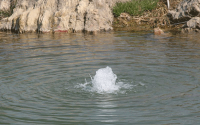 甲申乙酉泉中水