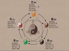 五行与医学（人体五行图）