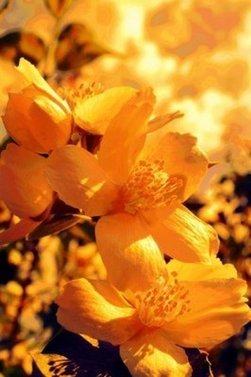2019年11月22号未时出生的男孩怎么起名字比较好听(图文)