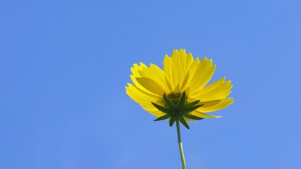 2019年七夕情人节是几月几号 七夕情人节出生的男孩起什么名字合适(图文)