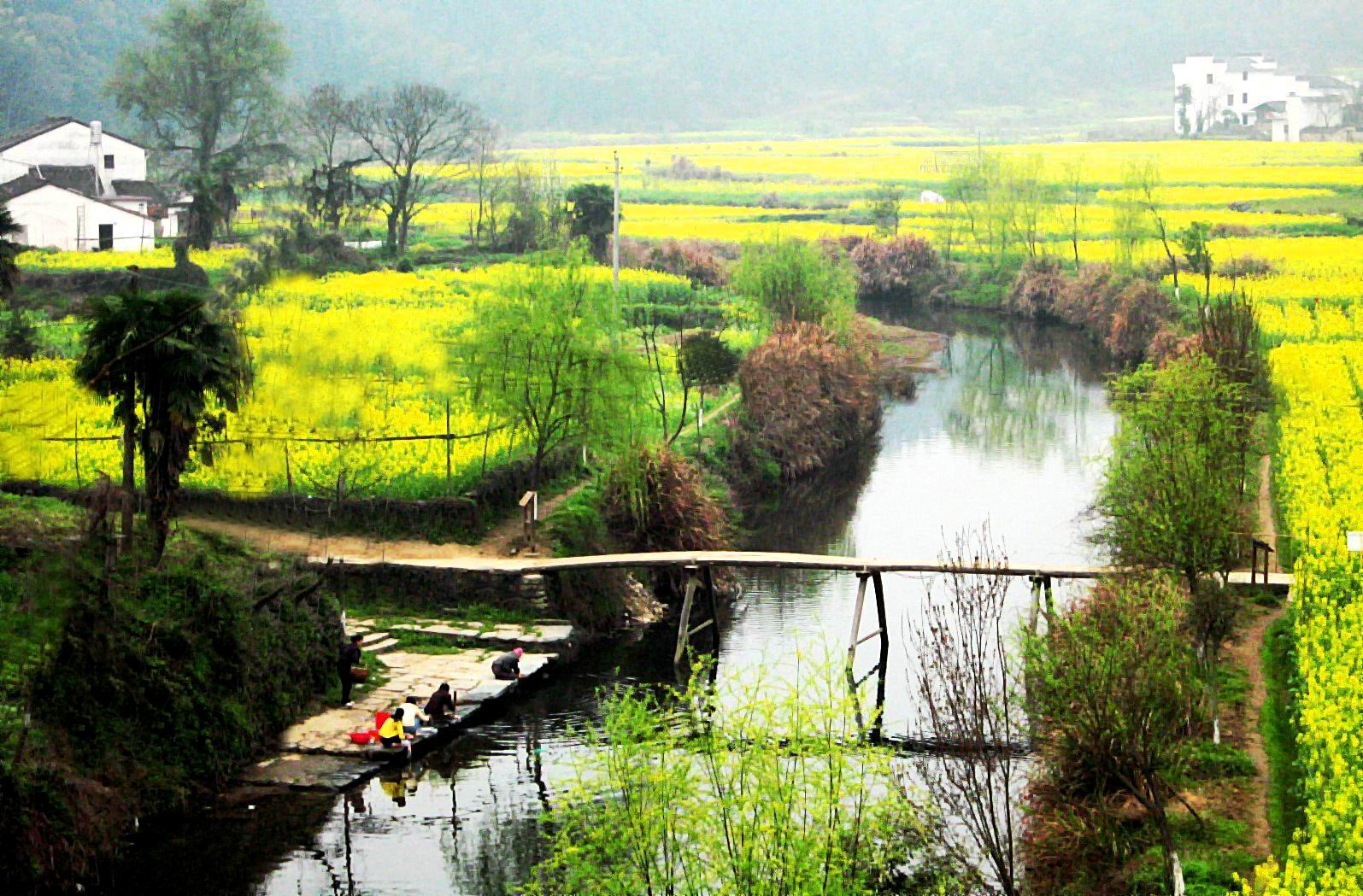 白露出生的男孩小名大全:小奇 小白 阿白 阿力 小唐 小东 小易 凡凡