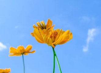 2019猪年劳动节出生男孩五行缺水怎么样起名字(图文)