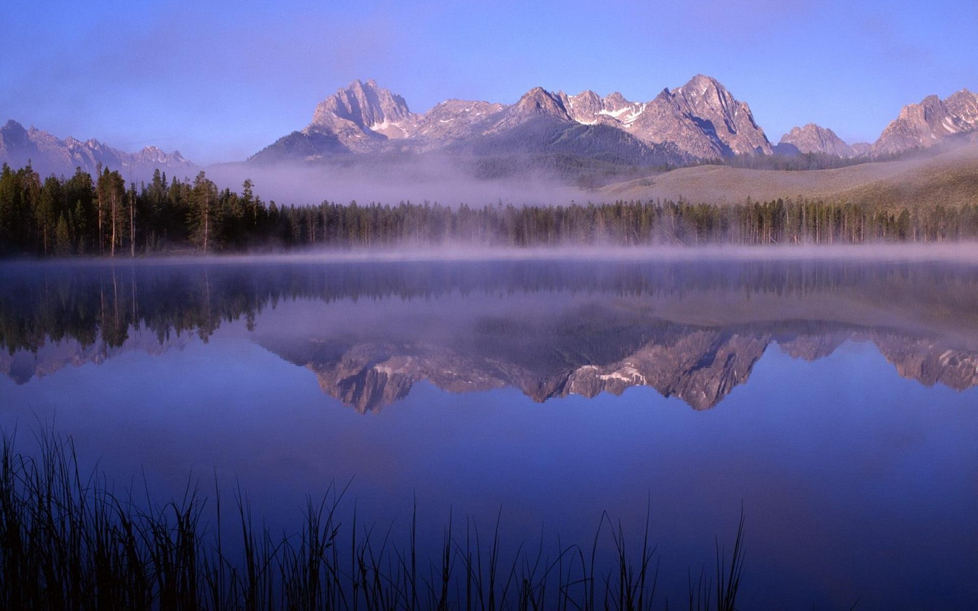 6月份出生的属虎男孩如何取名图文