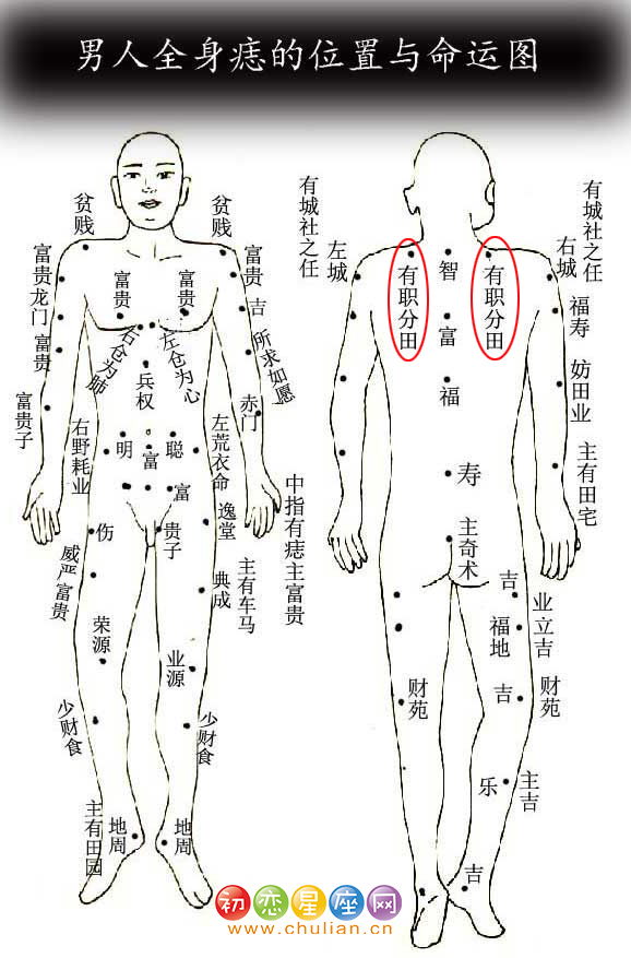 怎么判断太田痣的图片图片