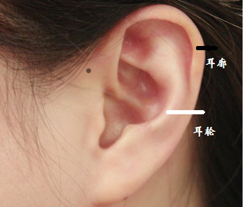 耳门的准确位置图片图图片