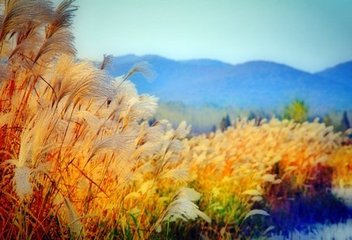 2019年7月11号出生的男宝宝五行缺水要如何起名字(图文)