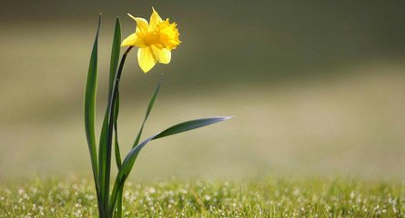 2019猪年青年节出生男孩五行缺木怎么样起名字(图文)