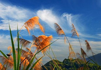 2019年7月11号出生的男宝宝五行缺水要如何起名字(图文)