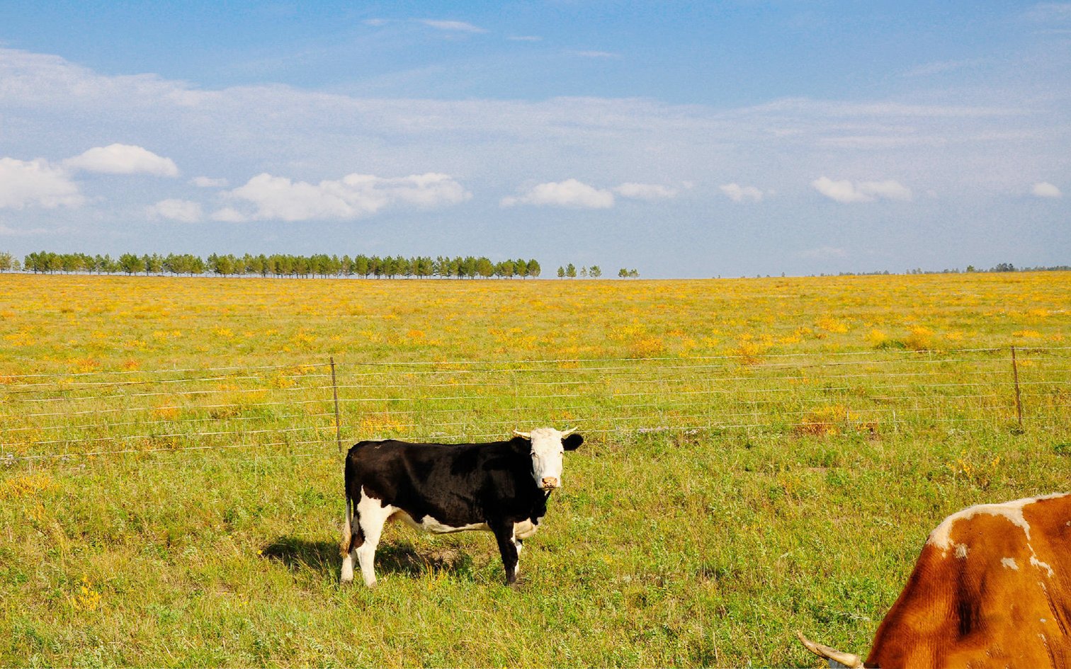 芒种凌晨出生的男孩如何起名字图文