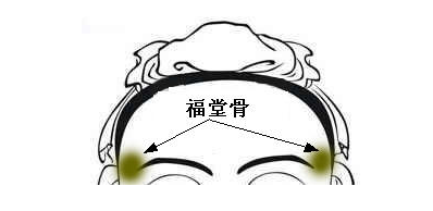泰山枕骨6.金锁华盖骨7.连璧三寸枕骨8.扶桑骨9.福堂骨10.